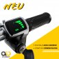 Preview: 800 W ECO Cobra 3 Stufen Drossel | Miniquad | Elektroquad Preview: 800 W ECO Cobra 3 Stufen Drossel | Miniquad | Elektroquad