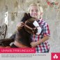 Preview: Ponycycle "Mister Ed" Pferd Braun neues Design 2020 small und medium mit Sound Preview: Ponycycle "Mister Ed" Pferd Braun neues Design 2020 small und medium mit Sound