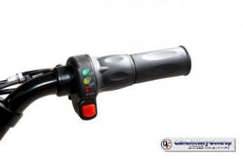 E-Scooter eFlux Freeride PRO 1600 Watt 48 V mit LED Licht, Freilauf, 13x5-6 Reifen