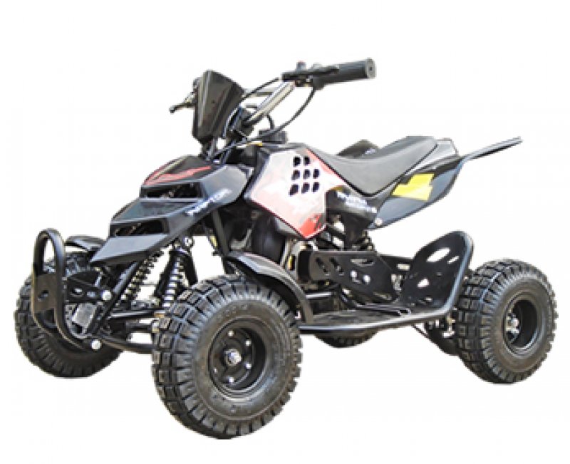 49cc Repti Mini Quad 49cc Repti Mini Quad
