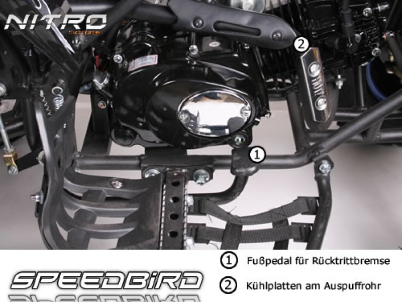 125cc Speedbird GXM 125 midi Quad 125cc Speedbird GXM 125 midi Quad