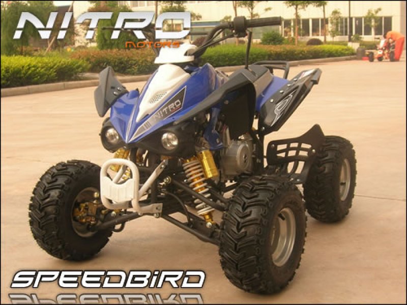 110 cc Speedbird CXA 110 Midi Quad 110 cc Speedbird CXA 110 Midi Quad